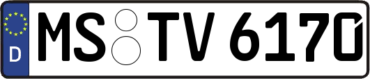 MS-TV6170