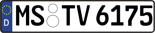 MS-TV6175