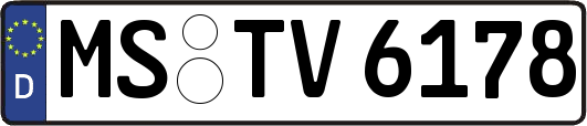 MS-TV6178