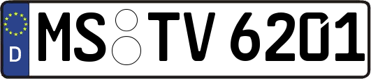 MS-TV6201