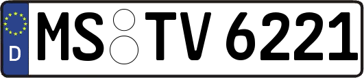 MS-TV6221
