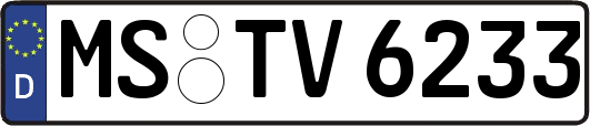 MS-TV6233