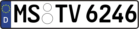 MS-TV6246