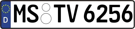 MS-TV6256