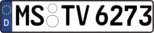 MS-TV6273