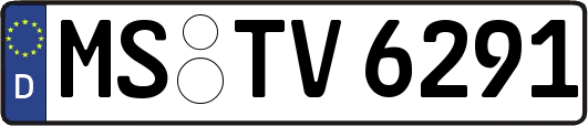 MS-TV6291