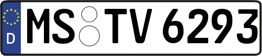 MS-TV6293