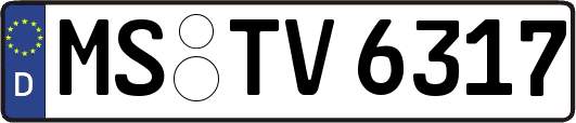 MS-TV6317