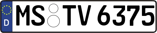 MS-TV6375