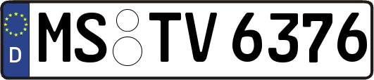 MS-TV6376