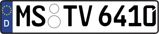 MS-TV6410
