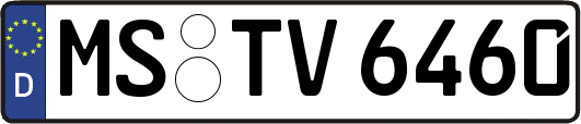 MS-TV6460