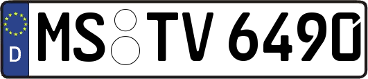 MS-TV6490