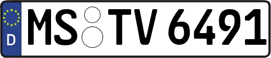 MS-TV6491