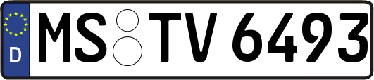MS-TV6493