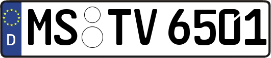 MS-TV6501