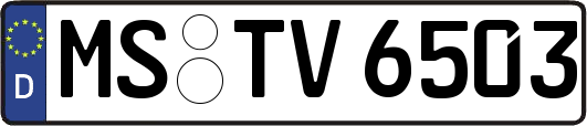 MS-TV6503