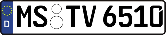 MS-TV6510