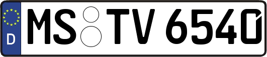 MS-TV6540