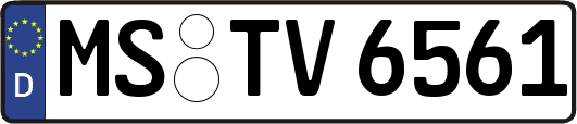 MS-TV6561