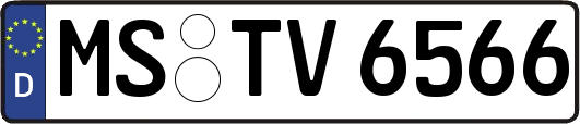 MS-TV6566