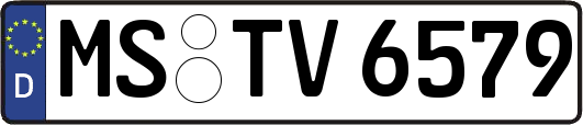 MS-TV6579