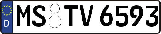 MS-TV6593