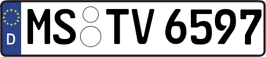 MS-TV6597