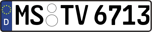 MS-TV6713