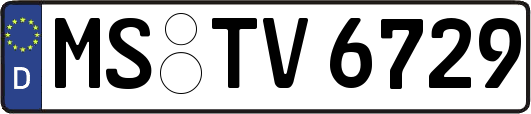 MS-TV6729