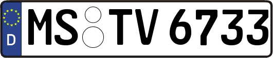 MS-TV6733