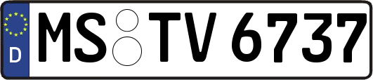 MS-TV6737