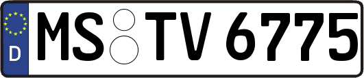 MS-TV6775