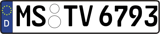 MS-TV6793