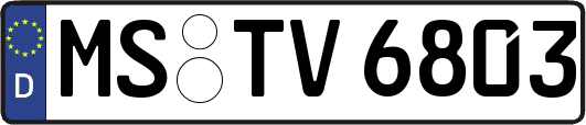 MS-TV6803