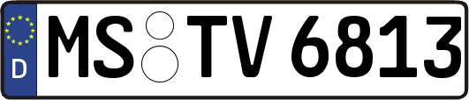 MS-TV6813