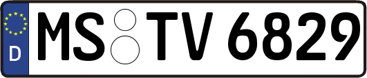 MS-TV6829