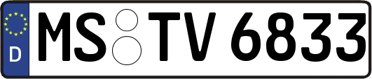MS-TV6833