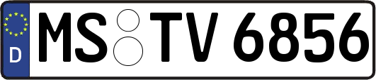 MS-TV6856