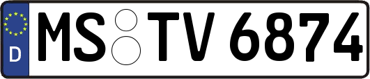 MS-TV6874