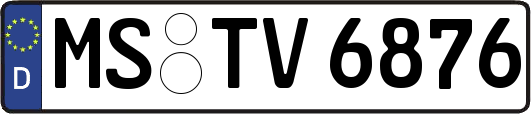 MS-TV6876