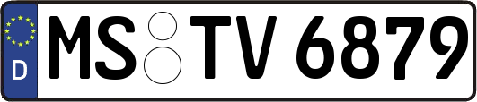 MS-TV6879