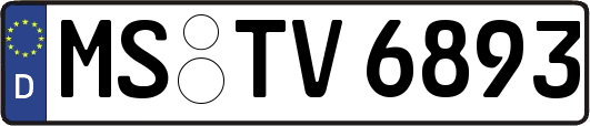 MS-TV6893