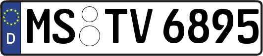 MS-TV6895