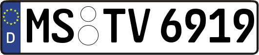 MS-TV6919