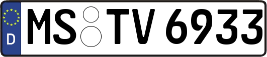 MS-TV6933