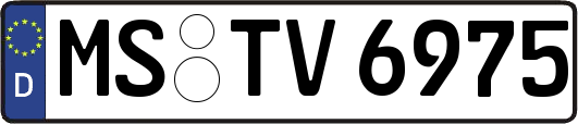 MS-TV6975