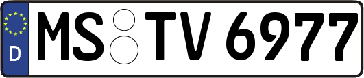 MS-TV6977