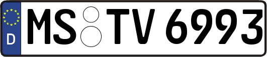 MS-TV6993