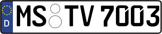 MS-TV7003